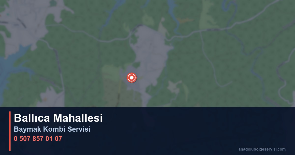 Pendik Ballıca Mahallesi Baymak Kombi Teknik Servis