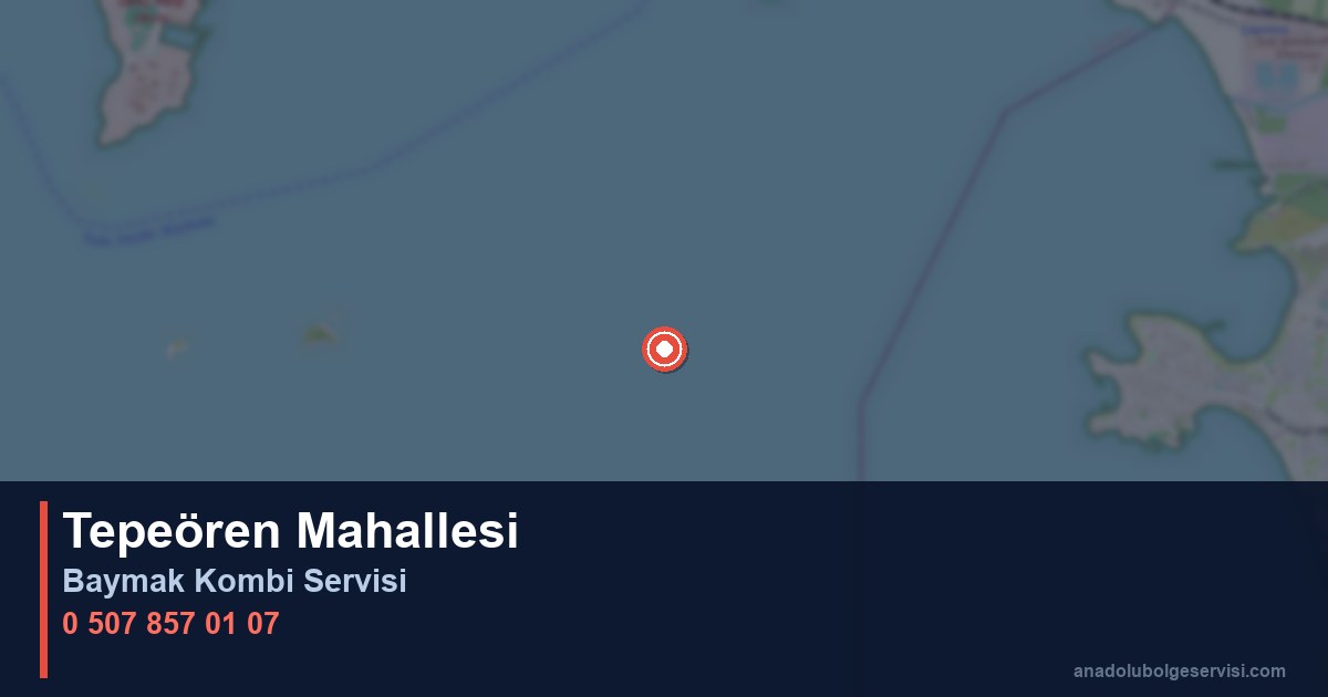 Tuzla Tepeören Mahallesi Baymak Kombi Teknik Servis